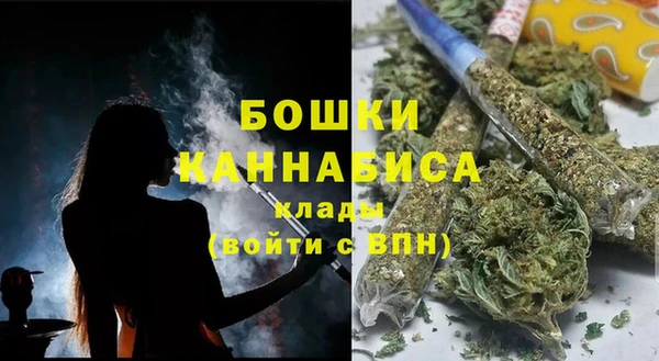 бошки Лабытнанги