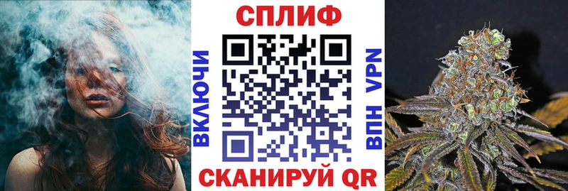 Марихуана THC 21%  Купить  Михайловск 